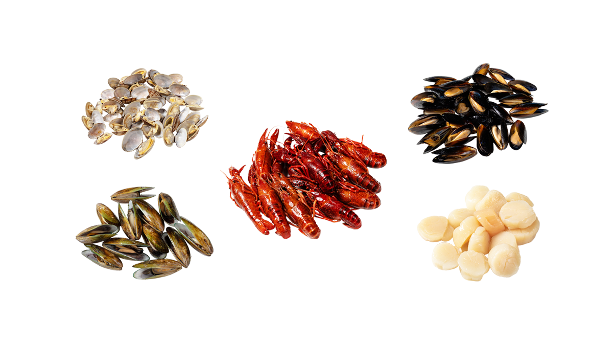 More Seafood to Explore